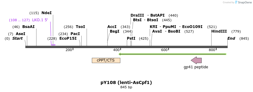 332524_map