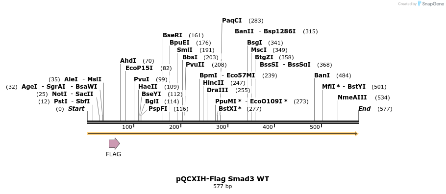 33259_map