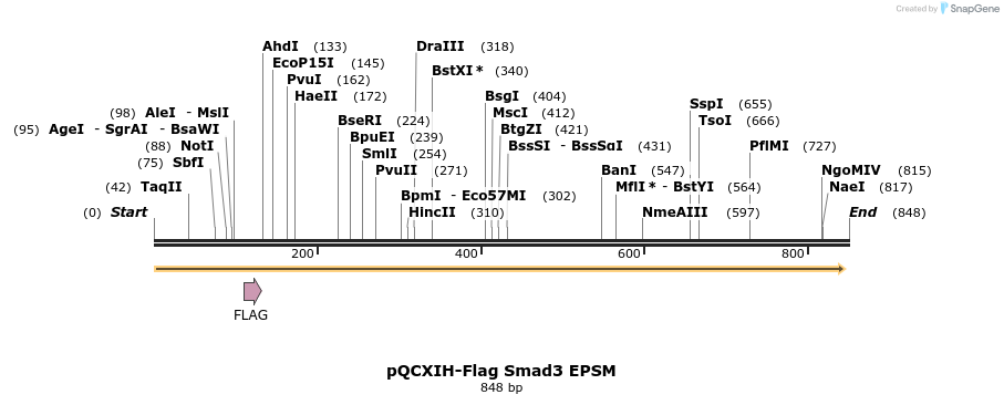 33260_map
