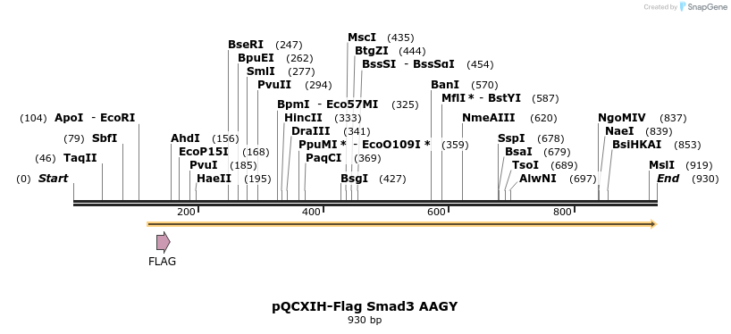 33261_map