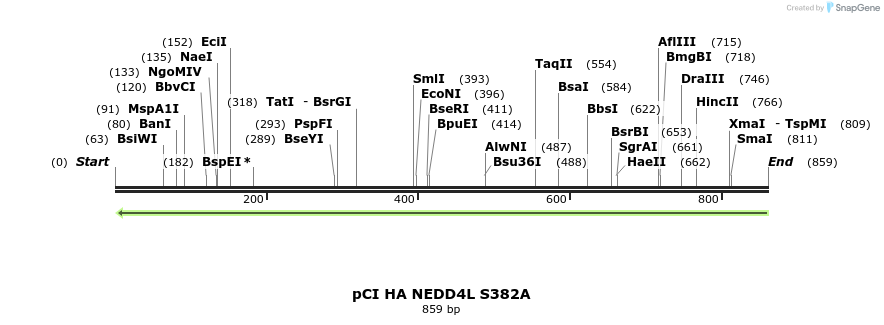 33263_map