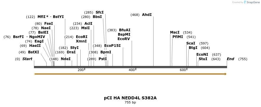 33264_map