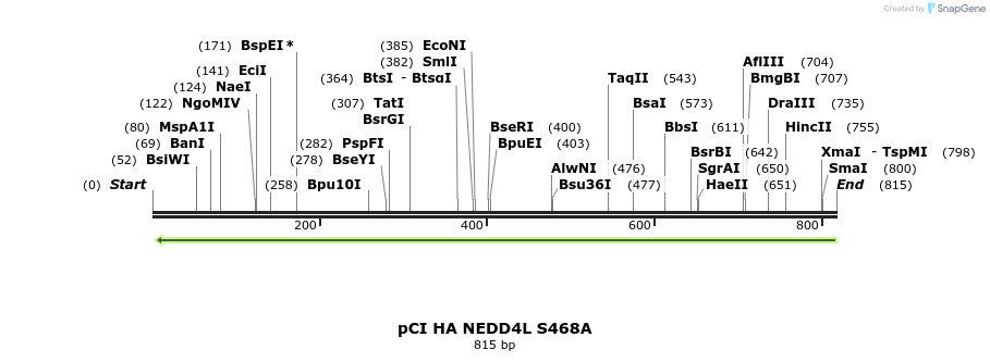 33266_map