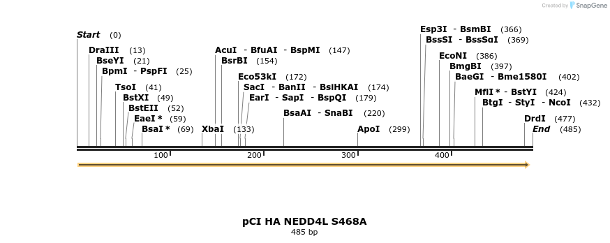 33269_map