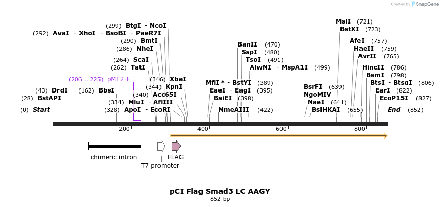33272_map