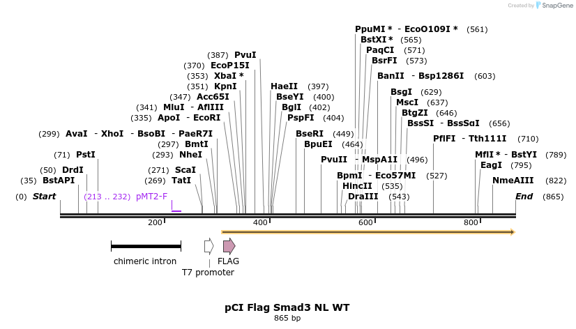 33274_map