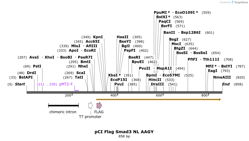 33276_map