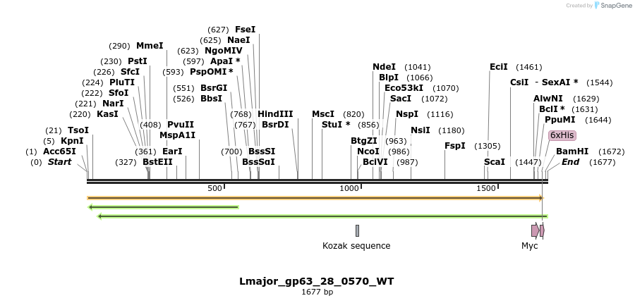 332780_map