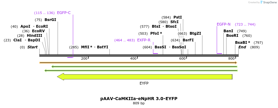 33285_map