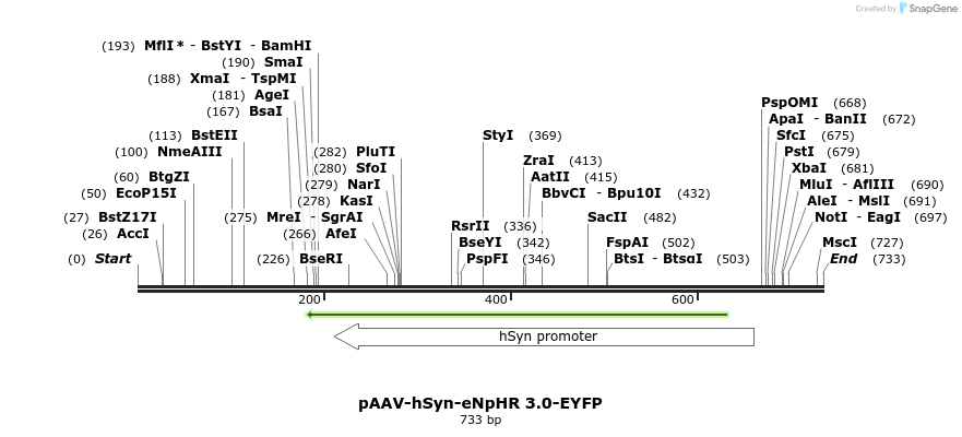 33287_map