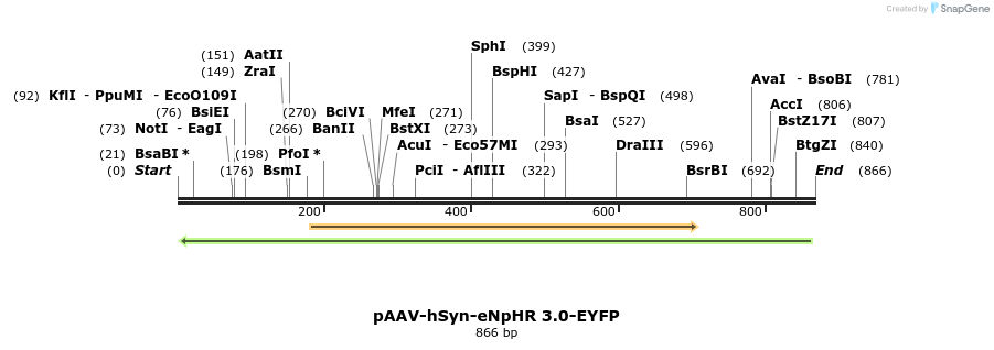 33289_map