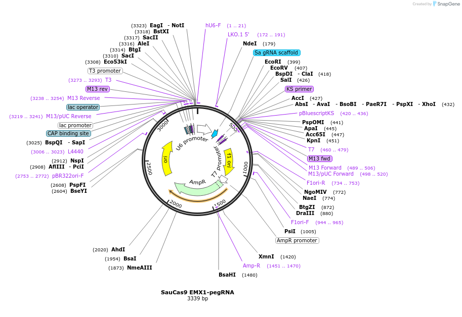 332902_map