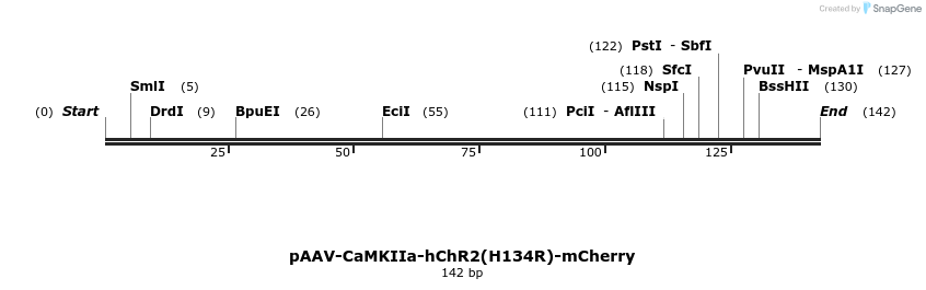 33294_map