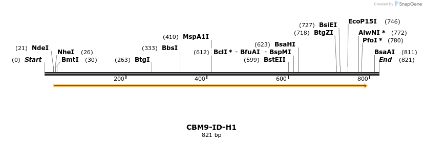 332945_map