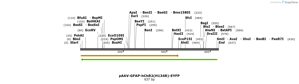 33301_map