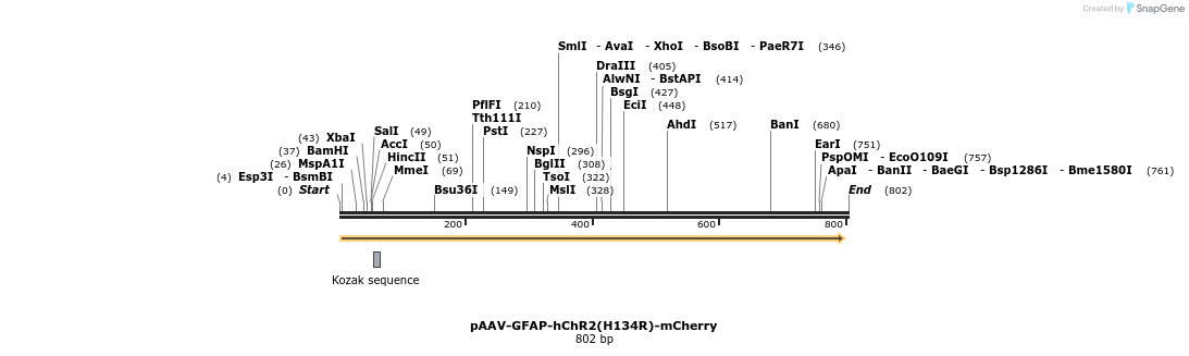 33302_map
