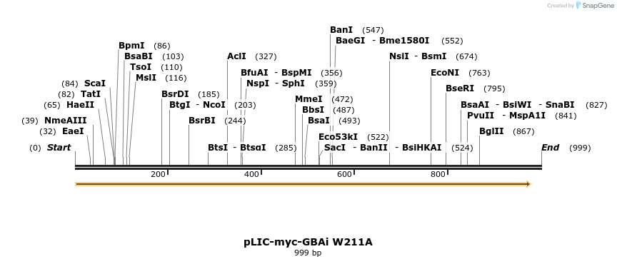 333030_map