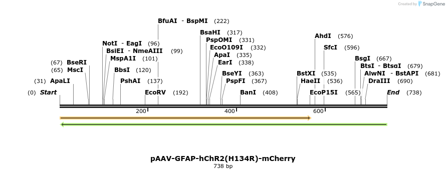 33304_map