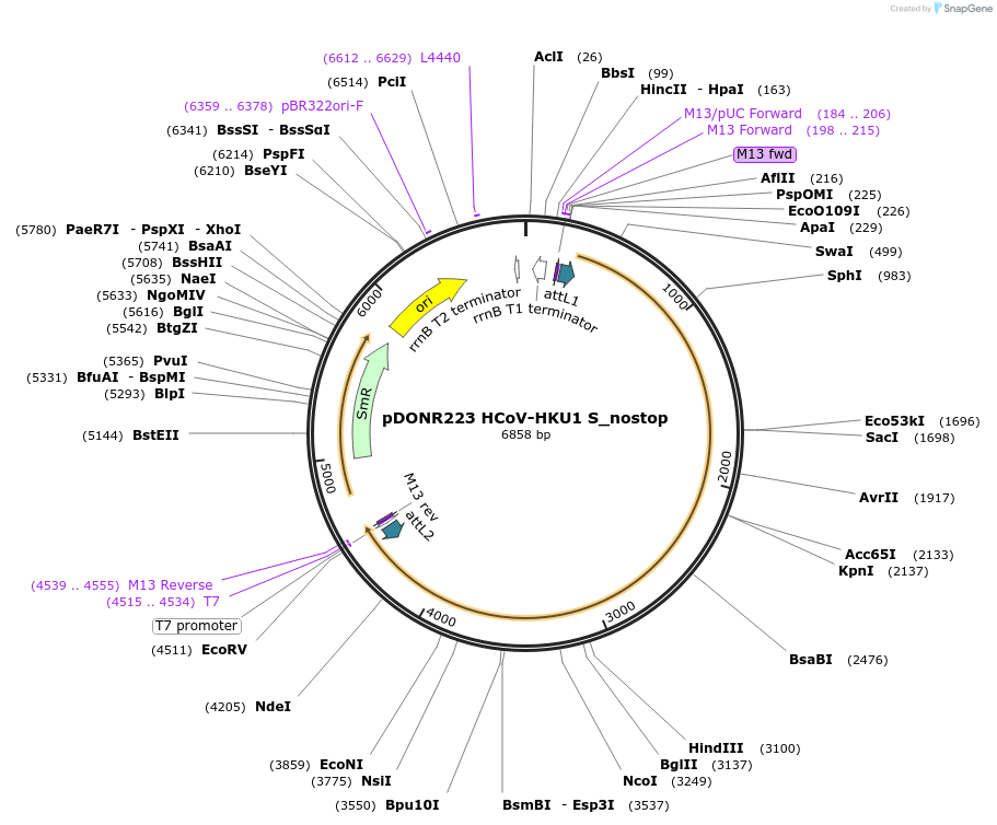 333056_map