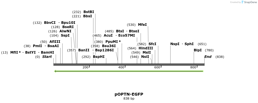 33308_map