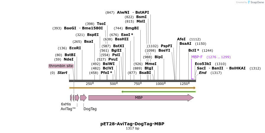 333092_map