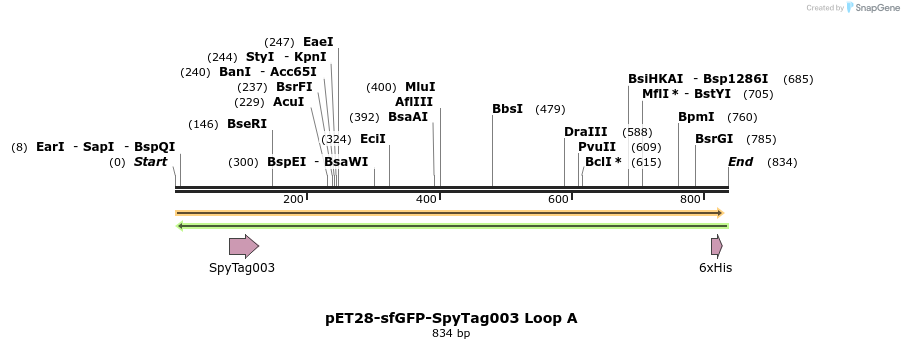333105_map