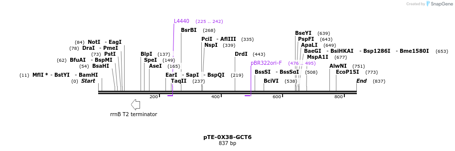 33311_map