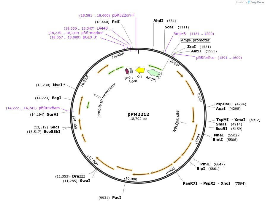 333115_map