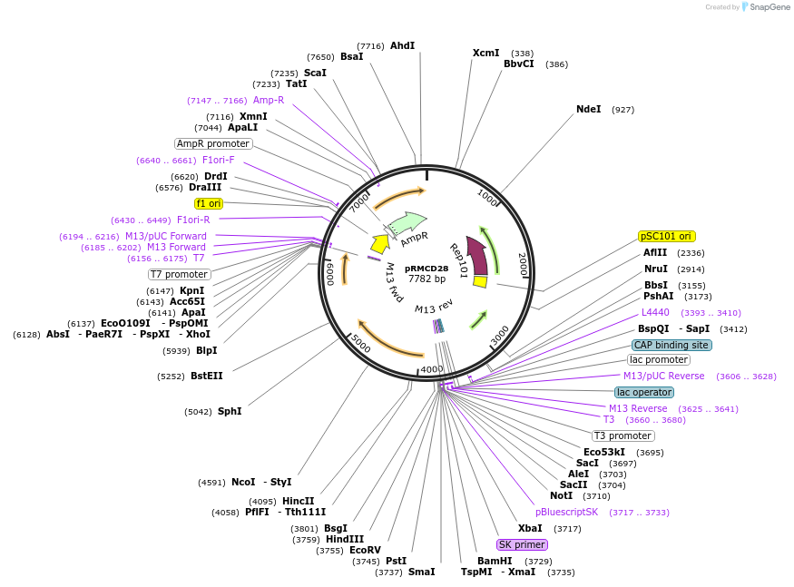 333117_map