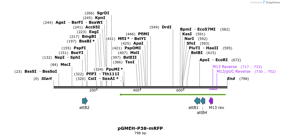 33312_map