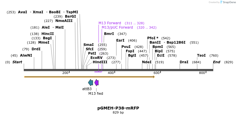 33313_map