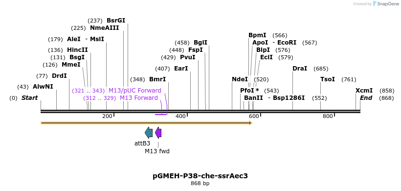 33315_map