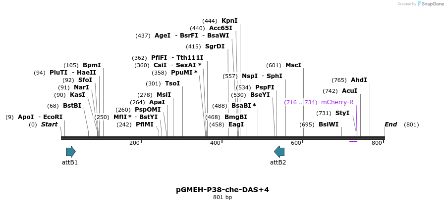 33318_map