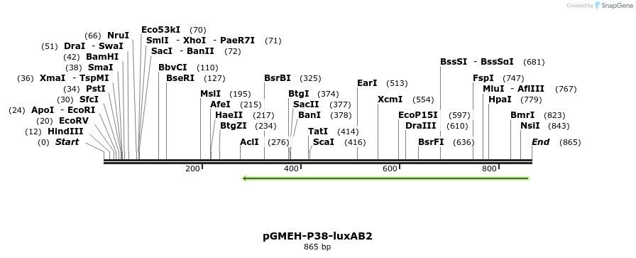 33319_map