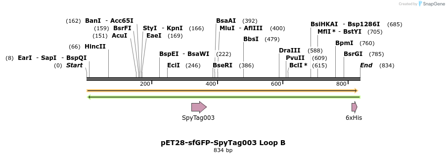 333191_map