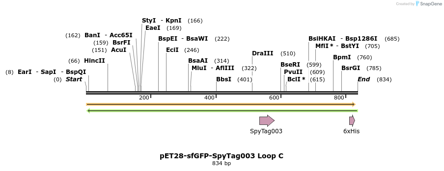 333192_map