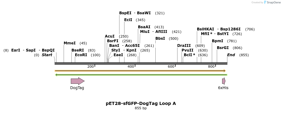 333193_map