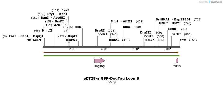 333194_map