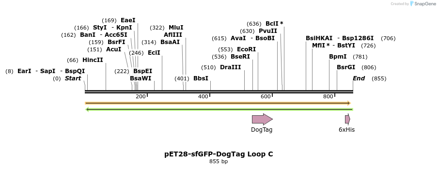 333195_map