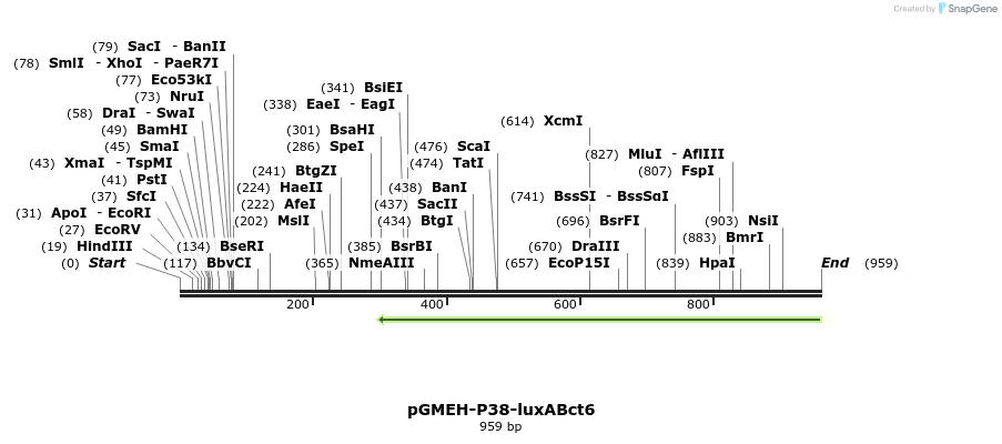 33321_map