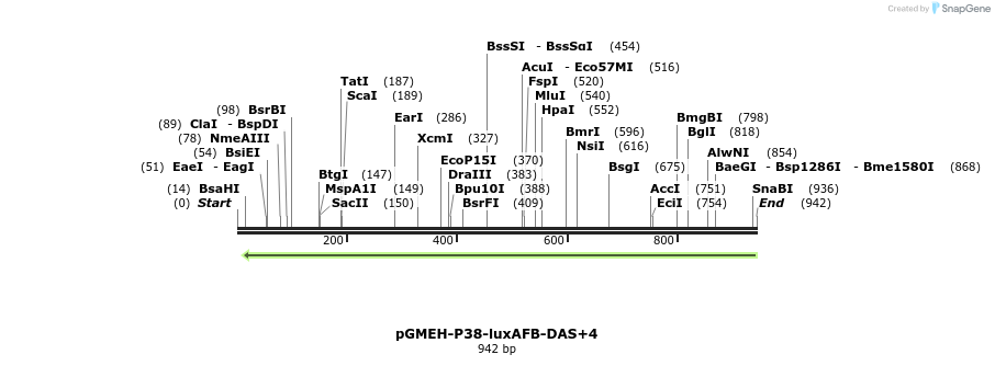 33324_map