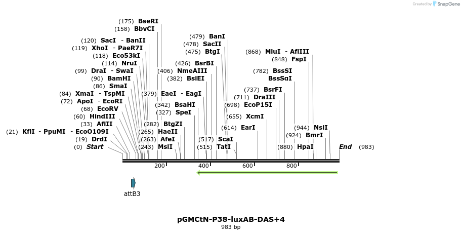 33327_map