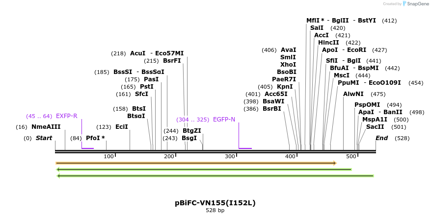 33335_map