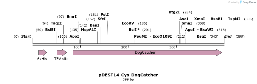 333354_map