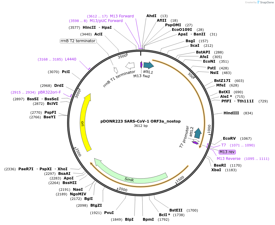 333370_map