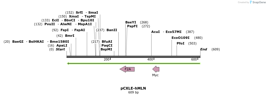 33342_map