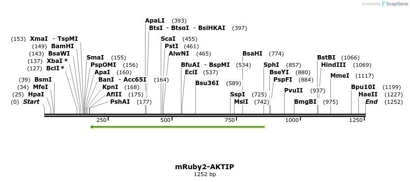 333427_map