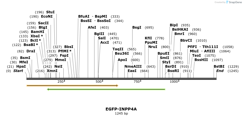 333430_map