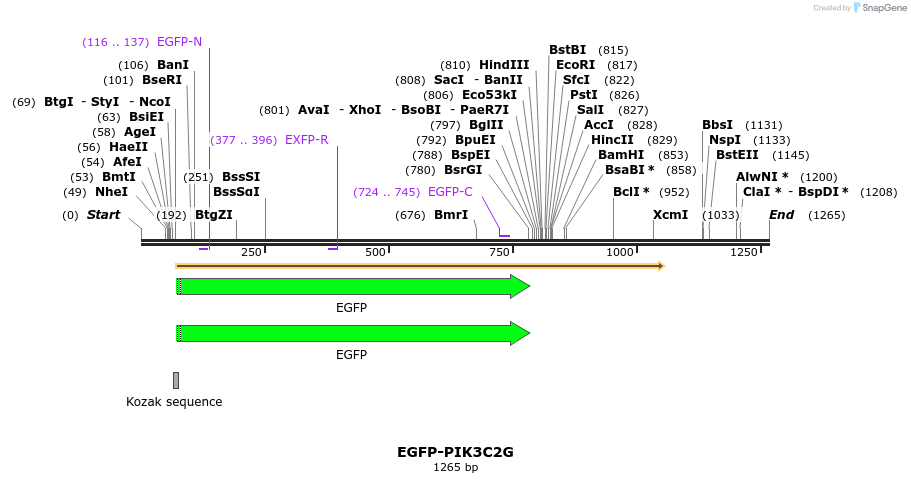 333433_map