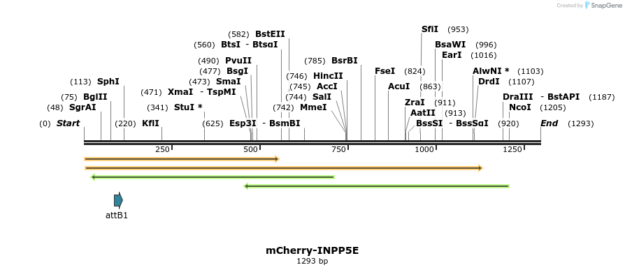 333437_map